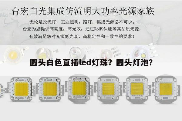 圆头白色直插led灯珠？圆头灯泡？-第1张图片-led灯珠, 贴片led灯珠, 直插led灯珠, 大功率灯珠, 3528灯珠, led灯珠厂家广东台宏光电科技有限公司 服务热线400-689-8189