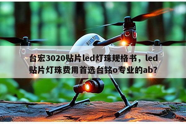 台宏3020贴片led灯珠规格书，led贴片灯珠费用首选台铭o专业的ab？-第1张图片-led灯珠, 贴片led灯珠, 直插led灯珠, 大功率灯珠, 3528灯珠, led灯珠厂家广东台宏光电科技有限公司 服务热线400-689-8189