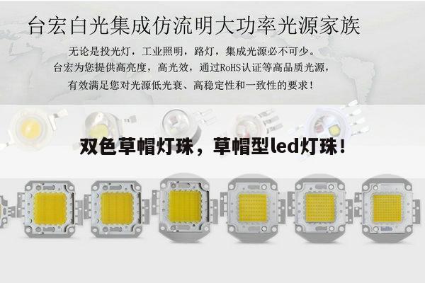 双色草帽灯珠，草帽型led灯珠！-第1张图片-led灯珠, 贴片led灯珠, 直插led灯珠, 大功率灯珠, 3528灯珠, led灯珠厂家广东台宏光电科技有限公司 服务热线400-689-8189