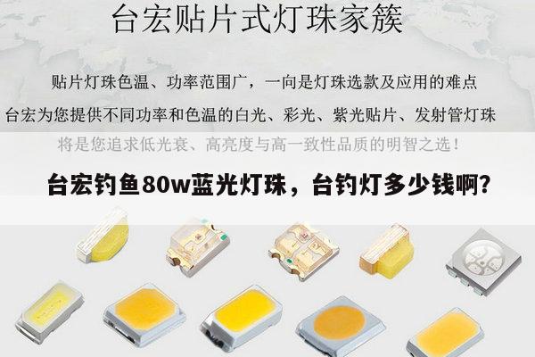 台宏钓鱼80w蓝光灯珠，台钓灯多少钱啊？-第1张图片-led灯珠, 贴片led灯珠, 直插led灯珠, 大功率灯珠, 3528灯珠, led灯珠厂家广东台宏光电科技有限公司 服务热线400-689-8189