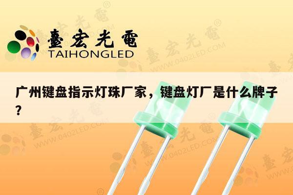广州键盘指示灯珠厂家，键盘灯厂是什么牌子？-第1张图片-led灯珠, 贴片led灯珠, 直插led灯珠, 大功率灯珠, 3528灯珠, led灯珠厂家广东台宏光电科技有限公司 服务热线400-689-8189