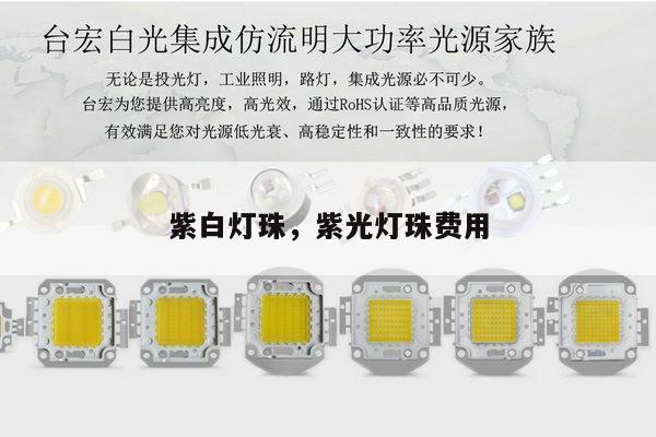 紫白灯珠，紫光灯珠费用-第1张图片-led灯珠, 贴片led灯珠, 直插led灯珠, 大功率灯珠, 3528灯珠, led灯珠厂家广东台宏光电科技有限公司 服务热线400-689-8189