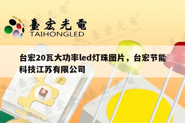 台宏20瓦大功率led灯珠图片，台宏节能科技江苏有限公司-第1张图片-led灯珠, 贴片led灯珠, 直插led灯珠, 大功率灯珠, 3528灯珠, led灯珠厂家广东台宏光电科技有限公司 服务热线400-689-8189