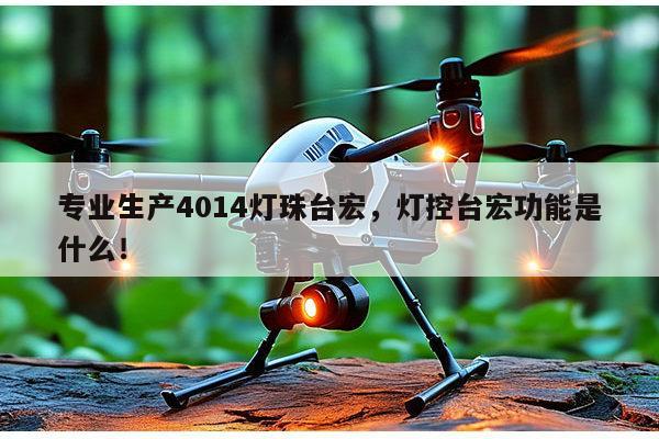 专业生产4014灯珠台宏，灯控台宏功能是什么！-第1张图片-led灯珠, 贴片led灯珠, 直插led灯珠, 大功率灯珠, 3528灯珠, led灯珠厂家广东台宏光电科技有限公司 服务热线400-689-8189