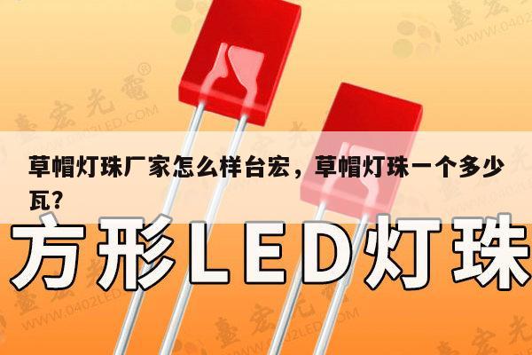 草帽灯珠厂家怎么样台宏，草帽灯珠一个多少瓦？-第1张图片-led灯珠, 贴片led灯珠, 直插led灯珠, 大功率灯珠, 3528灯珠, led灯珠厂家广东台宏光电科技有限公司 服务热线400-689-8189