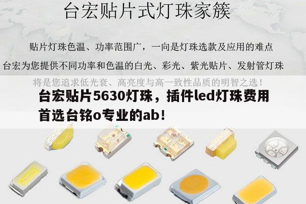 台宏贴片5630灯珠，插件led灯珠费用首选台铭o专业的ab！-第1张图片-led灯珠, 贴片led灯珠, 直插led灯珠, 大功率灯珠, 3528灯珠, led灯珠厂家广东台宏光电科技有限公司 服务热线400-689-8189