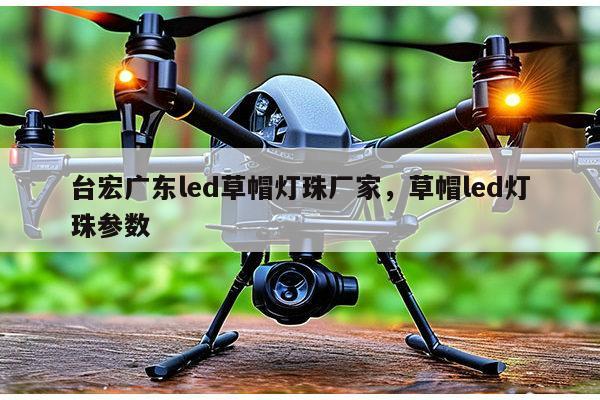 台宏广东led草帽灯珠厂家，草帽led灯珠参数-第1张图片-led灯珠, 贴片led灯珠, 直插led灯珠, 大功率灯珠, 3528灯珠, led灯珠厂家广东台宏光电科技有限公司 服务热线400-689-8189