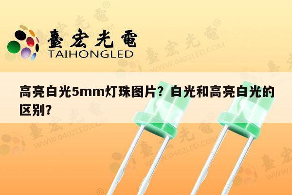 高亮白光5mm灯珠图片？白光和高亮白光的区别？-第1张图片-led灯珠, 贴片led灯珠, 直插led灯珠, 大功率灯珠, 3528灯珠, led灯珠厂家广东台宏光电科技有限公司 服务热线400-689-8189