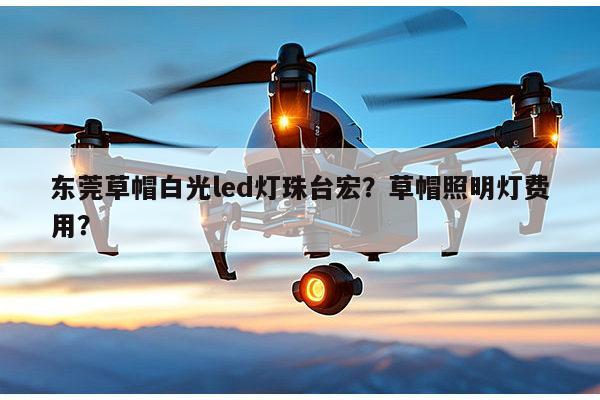 东莞草帽白光led灯珠台宏?草帽照明灯费用?-第1张图片-led灯珠, 贴片led灯珠, 直插led灯珠, 大功率灯珠, 3528灯珠, led灯珠厂家广东台宏光电科技有限公司 服务热线400-689-8189 东莞草帽白光led灯珠台宏?草帽照明灯费用?-第1张图片-led灯珠, 贴片led灯珠, 直插led灯珠, 大功率灯珠, 3528灯珠, led灯珠厂家广东台宏光电科技有限公司 服务热线400-689-8189