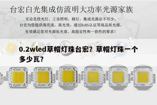 0.2wled草帽灯珠台宏？草帽灯珠一个多少瓦？-第1张图片-led灯珠, 贴片led灯珠, 直插led灯珠, 大功率灯珠, 3528灯珠, led灯珠厂家广东台宏光电科技有限公司 服务热线400-689-8189