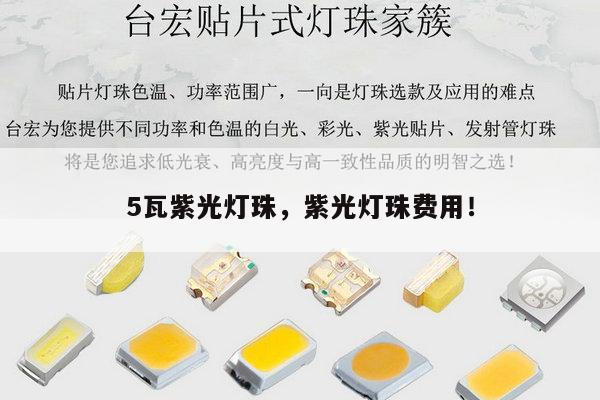 5瓦紫光灯珠，紫光灯珠费用！-第1张图片-led灯珠, 贴片led灯珠, 直插led灯珠, 大功率灯珠, 3528灯珠, led灯珠厂家广东台宏光电科技有限公司 服务热线400-689-8189