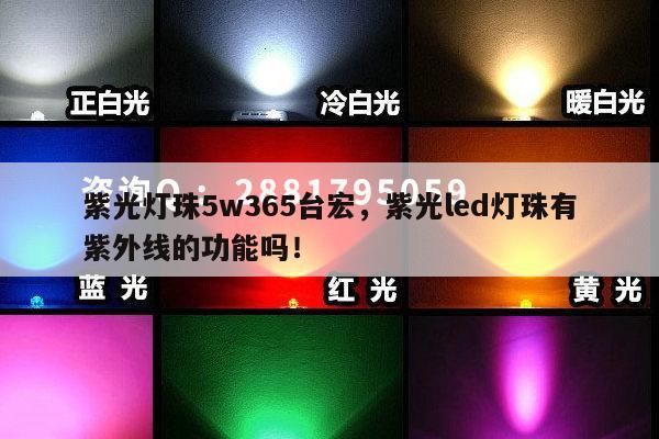 紫光灯珠5w365台宏，紫光led灯珠有紫外线的功能吗！-第1张图片-led灯珠, 贴片led灯珠, 直插led灯珠, 大功率灯珠, 3528灯珠, led灯珠厂家广东台宏光电科技有限公司 服务热线400-689-8189