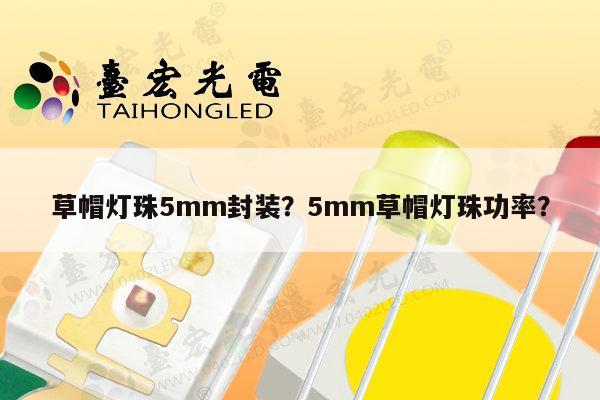草帽灯珠5mm封装？5mm草帽灯珠功率？-第1张图片-led灯珠, 贴片led灯珠, 直插led灯珠, 大功率灯珠, 3528灯珠, led灯珠厂家广东台宏光电科技有限公司 服务热线400-689-8189