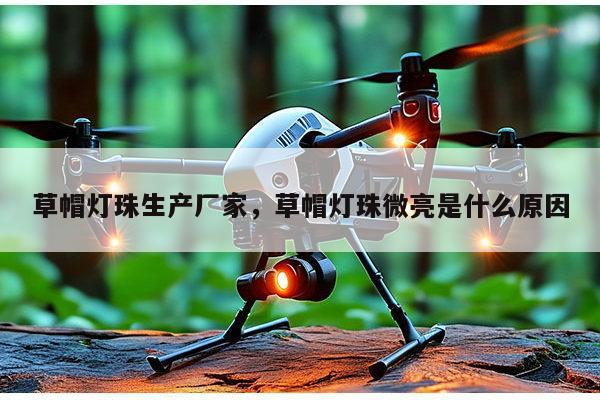 草帽灯珠生产厂家，草帽灯珠微亮是什么原因-第1张图片-led灯珠, 贴片led灯珠, 直插led灯珠, 大功率灯珠, 3528灯珠, led灯珠厂家广东台宏光电科技有限公司 服务热线400-689-8189
