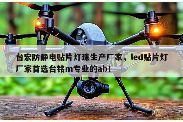 台宏防静电贴片灯珠生产厂家，led贴片灯厂家首选台铭m专业的ab！-第1张图片-led灯珠, 贴片led灯珠, 直插led灯珠, 大功率灯珠, 3528灯珠, led灯珠厂家广东台宏光电科技有限公司 服务热线400-689-8189