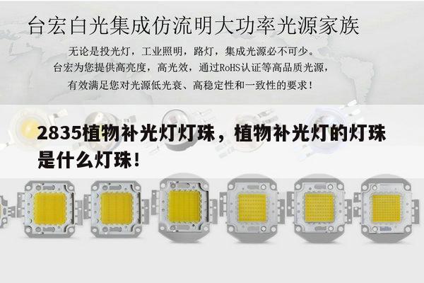 2835植物补光灯灯珠,植物补光灯的灯珠是什么灯珠!-第1张图片-led灯珠, 贴片led灯珠, 直插led灯珠, 大功率灯珠, 3528灯珠, led灯珠厂家广东台宏光电科技有限公司 服务热线400-689-8189 2835植物补光灯灯珠,植物补光灯的灯珠是什么灯珠!-第1张图片-led灯珠, 贴片led灯珠, 直插led灯珠, 大功率灯珠, 3528灯珠, led灯珠厂家广东台宏光电科技有限公司 服务热线400-689-8189