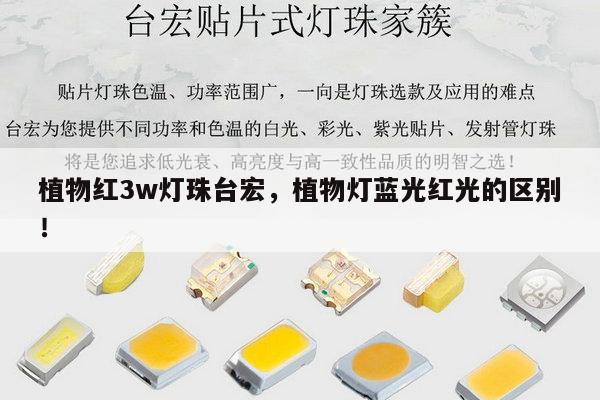 植物红3w灯珠台宏,植物灯蓝光红光的区别!-第1张图片-led灯珠, 贴片led灯珠, 直插led灯珠, 大功率灯珠, 3528灯珠, led灯珠厂家广东台宏光电科技有限公司 服务热线400-689-8189 植物红3w灯珠台宏,植物灯蓝光红光的区别!-第1张图片-led灯珠, 贴片led灯珠, 直插led灯珠, 大功率灯珠, 3528灯珠, led灯珠厂家广东台宏光电科技有限公司 服务热线400-689-8189