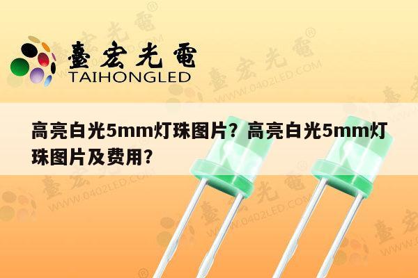 高亮白光5mm灯珠图片？高亮白光5mm灯珠图片及费用？-第1张图片-led灯珠, 贴片led灯珠, 直插led灯珠, 大功率灯珠, 3528灯珠, led灯珠厂家广东台宏光电科技有限公司 服务热线400-689-8189
