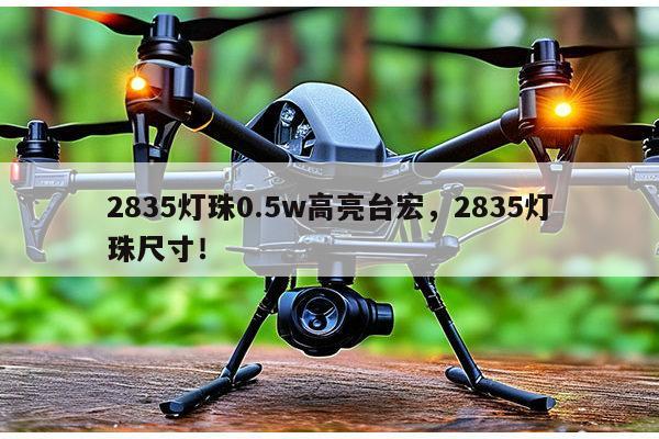 2835灯珠0.5w高亮台宏，2835灯珠尺寸！-第1张图片-led灯珠, 贴片led灯珠, 直插led灯珠, 大功率灯珠, 3528灯珠, led灯珠厂家广东台宏光电科技有限公司 服务热线400-689-8189