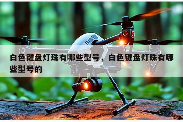 白色键盘灯珠有哪些型号，白色键盘灯珠有哪些型号的-第1张图片-led灯珠, 贴片led灯珠, 直插led灯珠, 大功率灯珠, 3528灯珠, led灯珠厂家广东台宏光电科技有限公司 服务热线400-689-8189