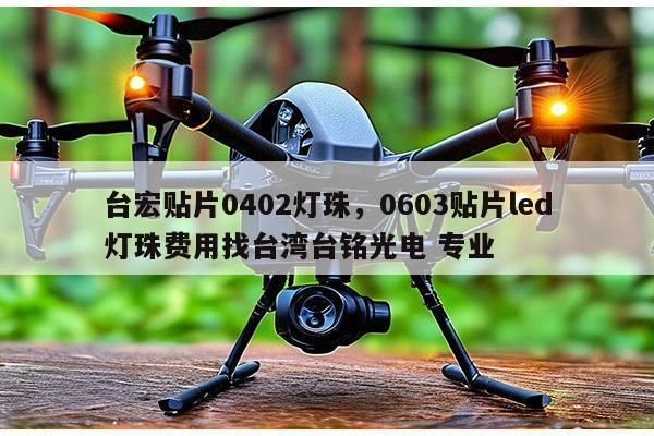 台宏贴片0402灯珠，0603贴片led灯珠费用找台湾台铭光电 专业-第1张图片-led灯珠, 贴片led灯珠, 直插led灯珠, 大功率灯珠, 3528灯珠, led灯珠厂家广东台宏光电科技有限公司 服务热线400-689-8189