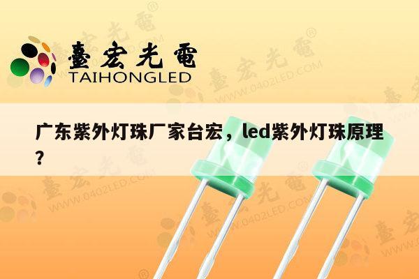 广东紫外灯珠厂家台宏，led紫外灯珠原理？-第1张图片-led灯珠, 贴片led灯珠, 直插led灯珠, 大功率灯珠, 3528灯珠, led灯珠厂家广东台宏光电科技有限公司 服务热线400-689-8189