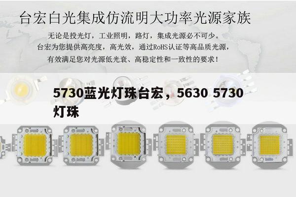 5730蓝光灯珠台宏,5630 5730灯珠-第1张图片-led灯珠, 贴片led灯珠, 直插led灯珠, 大功率灯珠, 3528灯珠, led灯珠厂家广东台宏光电科技有限公司 服务热线400-689-8189 5730蓝光灯珠台宏,5630 5730灯珠-第1张图片-led灯珠, 贴片led灯珠, 直插led灯珠, 大功率灯珠, 3528灯珠, led灯珠厂家广东台宏光电科技有限公司 服务热线400-689-8189