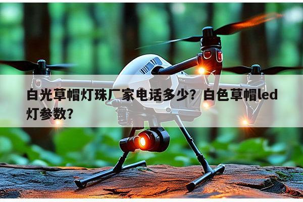 白光草帽灯珠厂家电话多少？白色草帽led灯参数？-第1张图片-led灯珠, 贴片led灯珠, 直插led灯珠, 大功率灯珠, 3528灯珠, led灯珠厂家广东台宏光电科技有限公司 服务热线400-689-8189