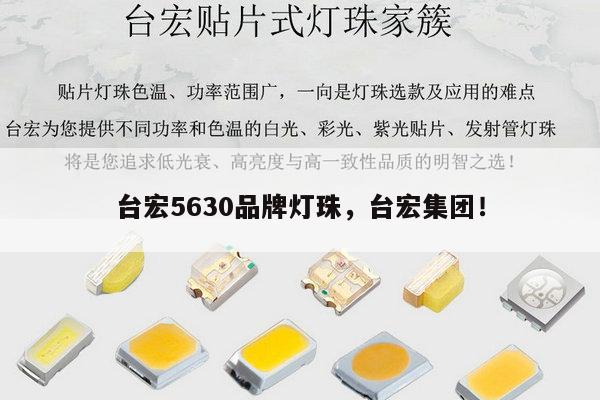 台宏5630品牌灯珠，台宏集团！-第1张图片-led灯珠, 贴片led灯珠, 直插led灯珠, 大功率灯珠, 3528灯珠, led灯珠厂家广东台宏光电科技有限公司 服务热线400-689-8189