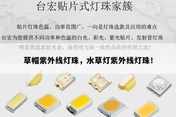 草帽紫外线灯珠，水草灯紫外线灯珠！-第1张图片-led灯珠, 贴片led灯珠, 直插led灯珠, 大功率灯珠, 3528灯珠, led灯珠厂家广东台宏光电科技有限公司 服务热线400-689-8189