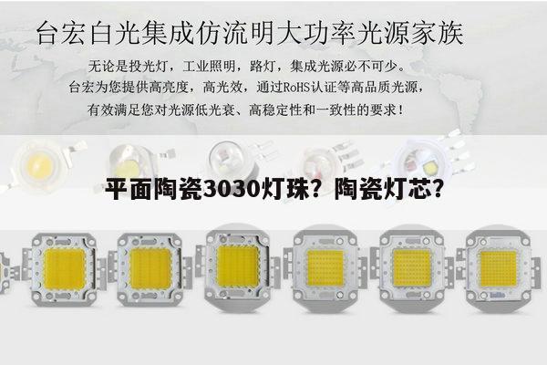 平面陶瓷3030灯珠？陶瓷灯芯？-第1张图片-led灯珠, 贴片led灯珠, 直插led灯珠, 大功率灯珠, 3528灯珠, led灯珠厂家广东台宏光电科技有限公司 服务热线400-689-8189