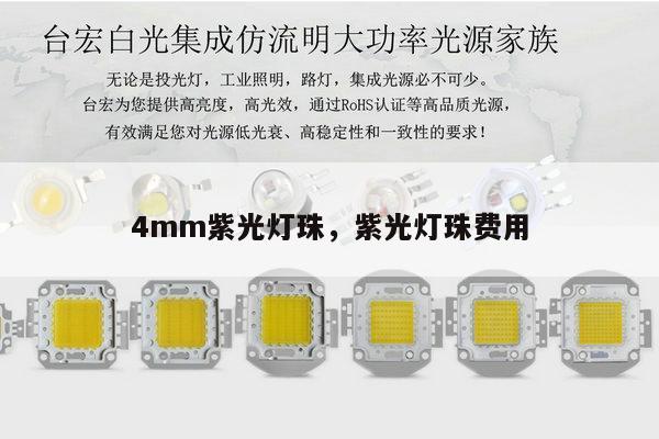 4mm紫光灯珠，紫光灯珠费用-第1张图片-led灯珠, 贴片led灯珠, 直插led灯珠, 大功率灯珠, 3528灯珠, led灯珠厂家广东台宏光电科技有限公司 服务热线400-689-8189