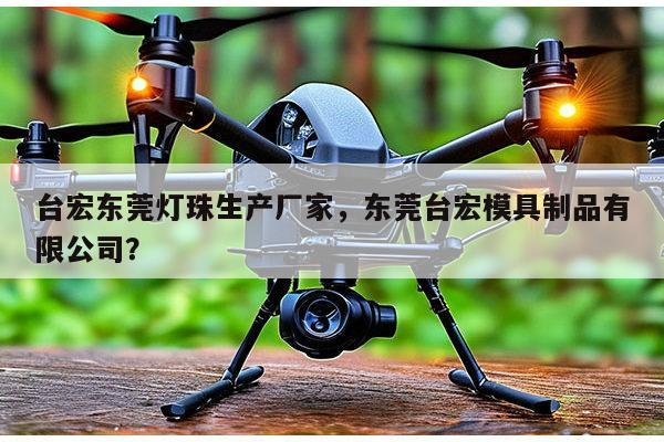 台宏东莞灯珠生产厂家，东莞台宏模具制品有限公司？-第1张图片-led灯珠, 贴片led灯珠, 直插led灯珠, 大功率灯珠, 3528灯珠, led灯珠厂家广东台宏光电科技有限公司 服务热线400-689-8189