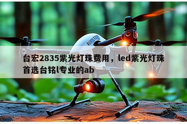 台宏2835紫光灯珠费用，led紫光灯珠首选台铭l专业的ab-第1张图片-led灯珠, 贴片led灯珠, 直插led灯珠, 大功率灯珠, 3528灯珠, led灯珠厂家广东台宏光电科技有限公司 服务热线400-689-8189