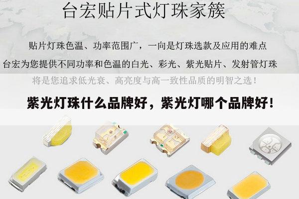 紫光灯珠什么品牌好，紫光灯哪个品牌好！-第1张图片-led灯珠, 贴片led灯珠, 直插led灯珠, 大功率灯珠, 3528灯珠, led灯珠厂家广东台宏光电科技有限公司 服务热线400-689-8189