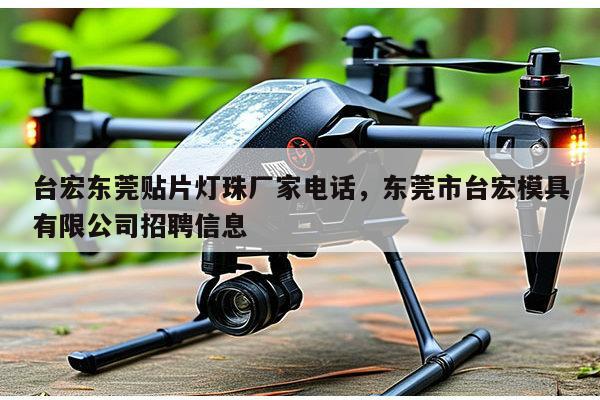 台宏东莞贴片灯珠厂家电话，东莞市台宏模具有限公司招聘信息-第1张图片-led灯珠, 贴片led灯珠, 直插led灯珠, 大功率灯珠, 3528灯珠, led灯珠厂家广东台宏光电科技有限公司 服务热线400-689-8189