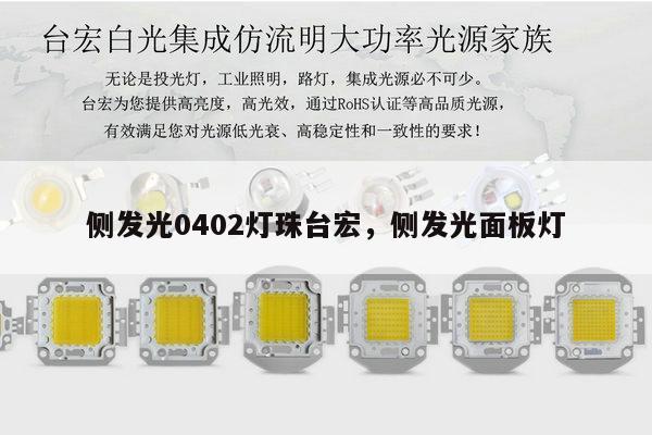 侧发光0402灯珠台宏，侧发光面板灯-第1张图片-led灯珠, 贴片led灯珠, 直插led灯珠, 大功率灯珠, 3528灯珠, led灯珠厂家广东台宏光电科技有限公司 服务热线400-689-8189