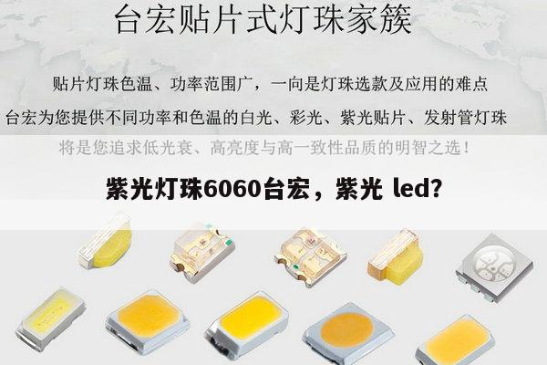 紫光灯珠6060台宏，紫光 led？-第1张图片-led灯珠, 贴片led灯珠, 直插led灯珠, 大功率灯珠, 3528灯珠, led灯珠厂家广东台宏光电科技有限公司 服务热线400-689-8189