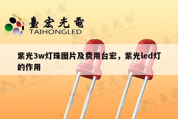紫光3w灯珠图片及费用台宏，紫光led灯的作用-第1张图片-led灯珠, 贴片led灯珠, 直插led灯珠, 大功率灯珠, 3528灯珠, led灯珠厂家广东台宏光电科技有限公司 服务热线400-689-8189