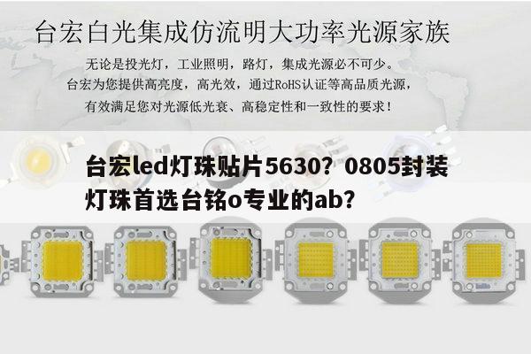 台宏led灯珠贴片5630？0805封装灯珠首选台铭o专业的ab？-第1张图片-led灯珠, 贴片led灯珠, 直插led灯珠, 大功率灯珠, 3528灯珠, led灯珠厂家广东台宏光电科技有限公司 服务热线400-689-8189
