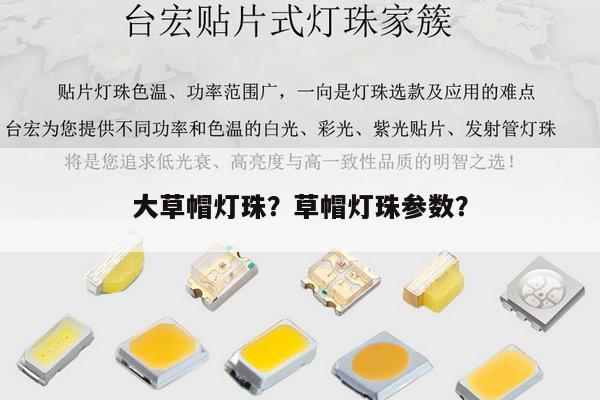 大草帽灯珠？草帽灯珠参数？-第1张图片-led灯珠, 贴片led灯珠, 直插led灯珠, 大功率灯珠, 3528灯珠, led灯珠厂家广东台宏光电科技有限公司 服务热线400-689-8189