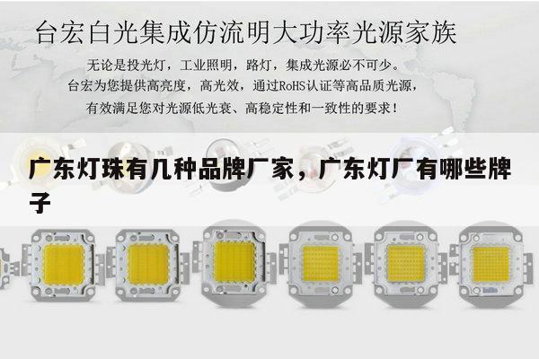 广东灯珠有几种品牌厂家，广东灯厂有哪些牌子-第1张图片-led灯珠, 贴片led灯珠, 直插led灯珠, 大功率灯珠, 3528灯珠, led灯珠厂家广东台宏光电科技有限公司 服务热线400-689-8189