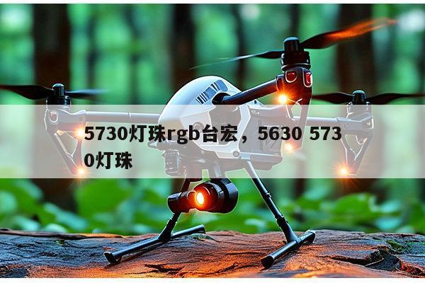 5730灯珠rgb台宏，5630 5730灯珠-第1张图片-led灯珠, 贴片led灯珠, 直插led灯珠, 大功率灯珠, 3528灯珠, led灯珠厂家广东台宏光电科技有限公司 服务热线400-689-8189