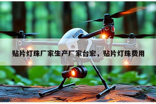 贴片灯珠厂家生产厂家台宏，贴片灯珠费用-第1张图片-led灯珠, 贴片led灯珠, 直插led灯珠, 大功率灯珠, 3528灯珠, led灯珠厂家广东台宏光电科技有限公司 服务热线400-689-8189