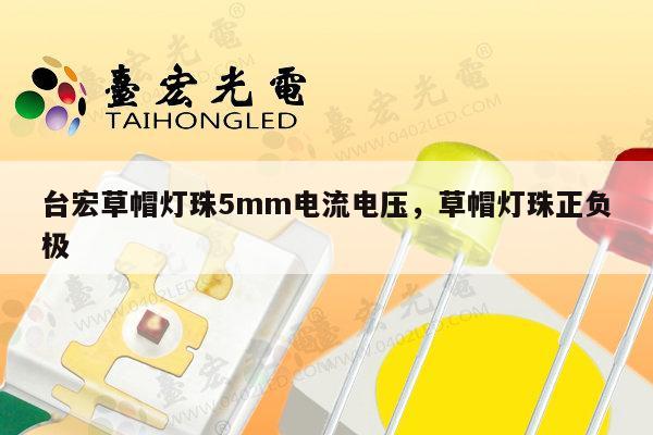 台宏草帽灯珠5mm电流电压，草帽灯珠正负极-第1张图片-led灯珠, 贴片led灯珠, 直插led灯珠, 大功率灯珠, 3528灯珠, led灯珠厂家广东台宏光电科技有限公司 服务热线400-689-8189