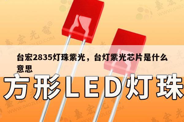 台宏2835灯珠紫光，台灯紫光芯片是什么意思-第1张图片-led灯珠, 贴片led灯珠, 直插led灯珠, 大功率灯珠, 3528灯珠, led灯珠厂家广东台宏光电科技有限公司 服务热线400-689-8189