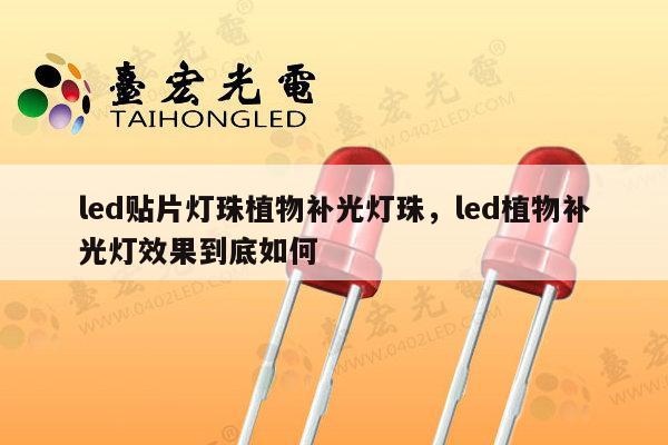 led贴片灯珠植物补光灯珠，led植物补光灯效果到底如何-第1张图片-led灯珠, 贴片led灯珠, 直插led灯珠, 大功率灯珠, 3528灯珠, led灯珠厂家广东台宏光电科技有限公司 服务热线400-689-8189
