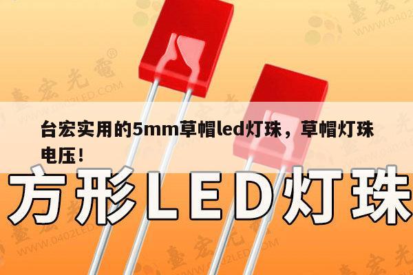 台宏实用的5mm草帽led灯珠，草帽灯珠电压！-第1张图片-led灯珠, 贴片led灯珠, 直插led灯珠, 大功率灯珠, 3528灯珠, led灯珠厂家广东台宏光电科技有限公司 服务热线400-689-8189