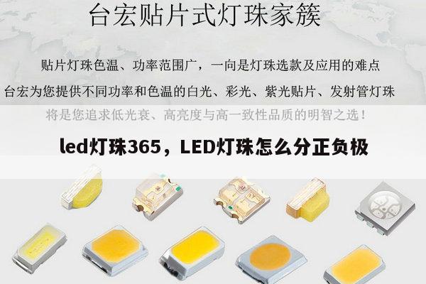 led灯珠365，LED灯珠怎么分正负极-第1张图片-led灯珠, 贴片led灯珠, 直插led灯珠, 大功率灯珠, 3528灯珠, led灯珠厂家广东台宏光电科技有限公司 服务热线400-689-8189