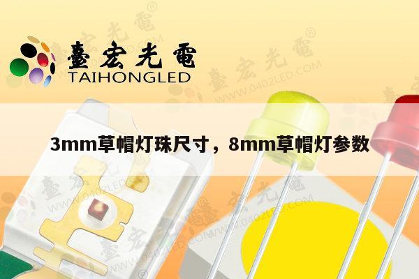 3mm草帽灯珠尺寸，8mm草帽灯参数-第1张图片-led灯珠, 贴片led灯珠, 直插led灯珠, 大功率灯珠, 3528灯珠, led灯珠厂家广东台宏光电科技有限公司 服务热线400-689-8189